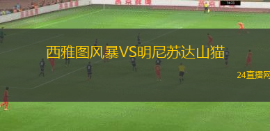 西雅圖風(fēng)暴VS明尼蘇達(dá)山貓