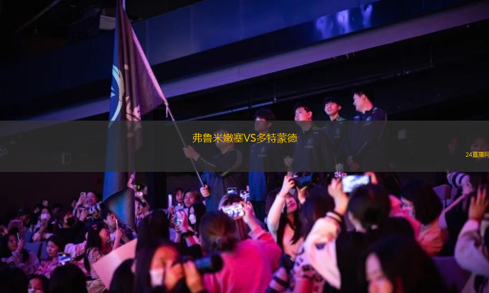 弗魯米嫩塞VS多特蒙德